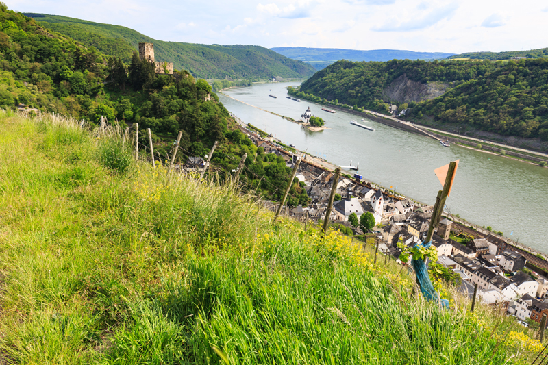 Blick über den Rhein auf Burg Pfalzgrafenstein und Burg Gutenfels