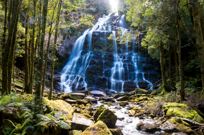 Montezuma Falls - Tasmanien
