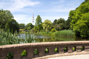 Planten un Blomen