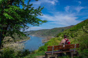 Rheinblick