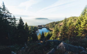 Der Schwarzwälder Mummelsee