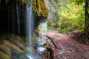 Wutachschlucht Schwarzwald