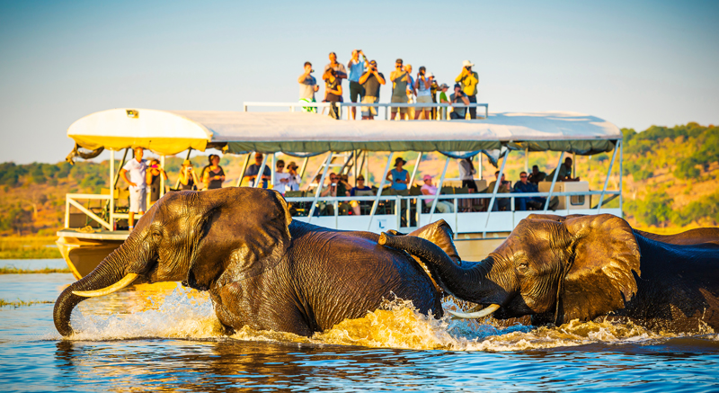 botsuana-touristen-elefanten
