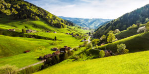 Münstertal im Schwarzwald