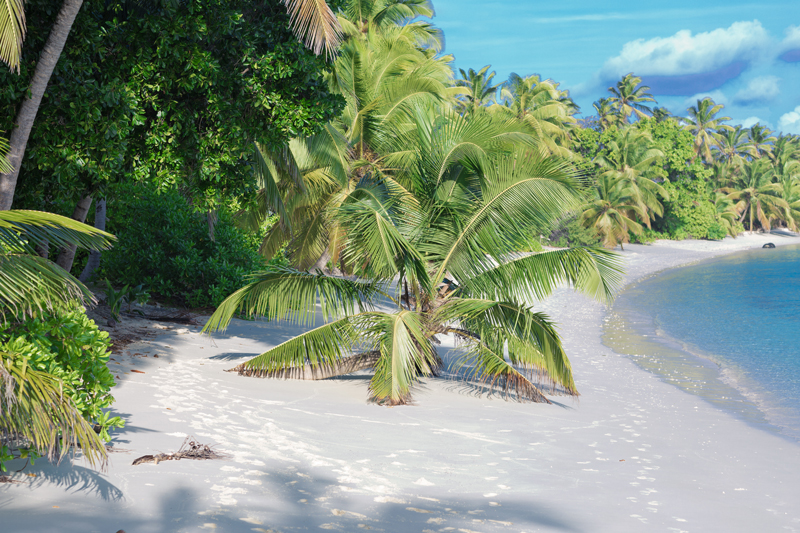 strand-auf-den-kokosinseln