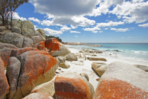 tasmanien-kueste