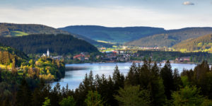 Der Titisee