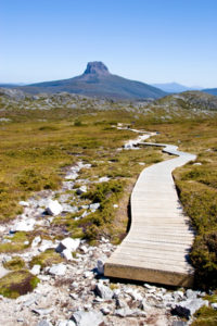 wanderweg-auf-tasmanien