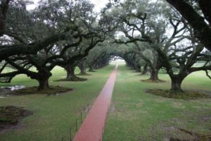Oak Alley Plantage