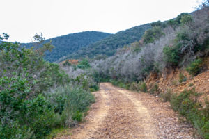 Nationalpark Maremma
