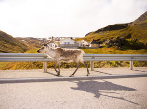 Skarsvåg