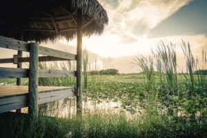Everglades-Nationalpark
