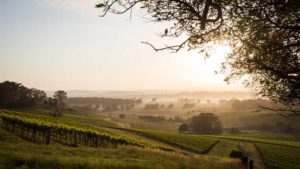 Hunter Valley