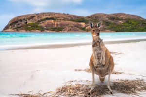 Kangaroo Island