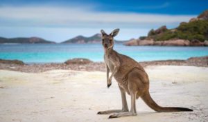 reiseziele-australien