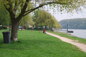 Hattenheim-Rheinufer