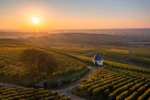 Rheingau