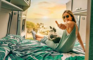angekommen-urlaub-mit-hund