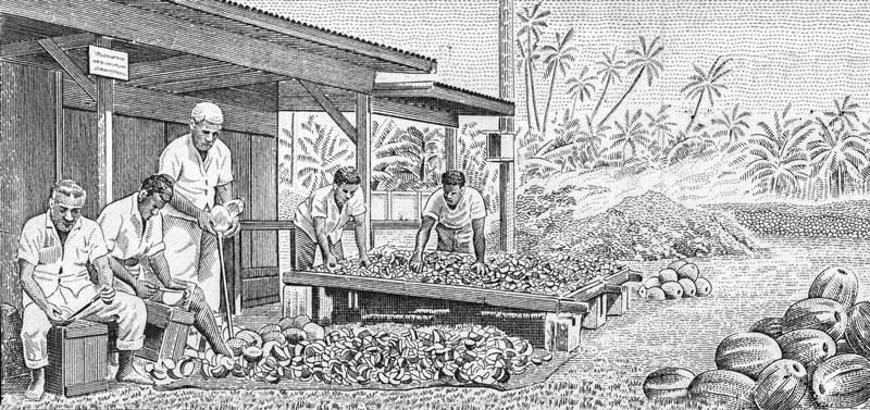 geschichte-polynesien