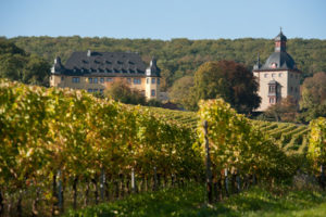 schloss-vollrads