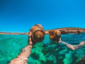 schnorcheln-im-Mittelmeer