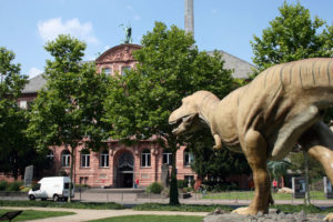 senckenberg-museum-frankfurt