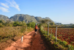 wandern-kuba-Valley-of-Viñales