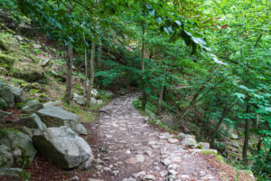 Harzer-Hexen-Stieg bei Thale im Bodetal