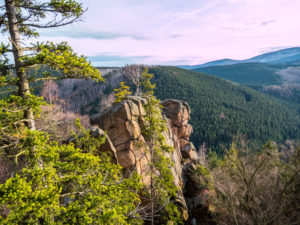 Nationalpark Harz