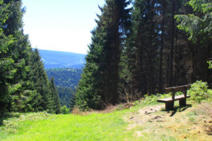 Wander-auf-dem-harzer-Hexenstieg