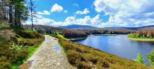 blick-auf-den-brocken