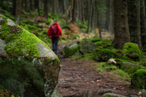 wandern-auf-dem-harzer-hexen-stieg