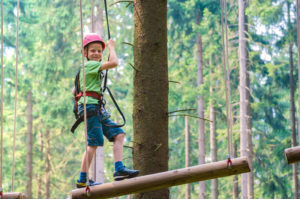 Kletterwald