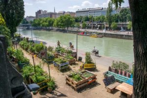 Radweg an der Donau in Wien