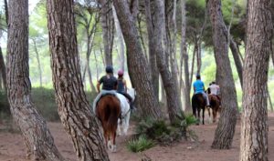 Reiten auf Mallorca