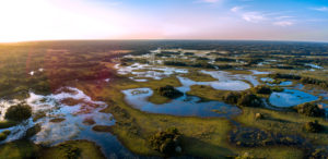 Pantanal