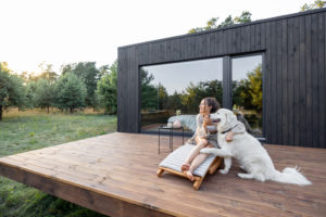 ferienhaus-hund