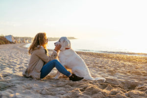 urlaub-mit-hund