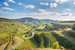Texaspass - Passhöhe im Kaiserstuhl