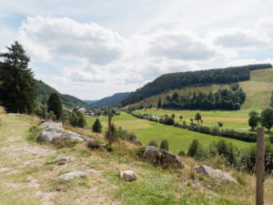 Blick ins Tal der Menzenschwander Alb
