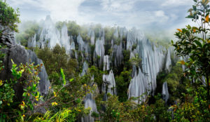 Nationalpark Mulu auf Borneo