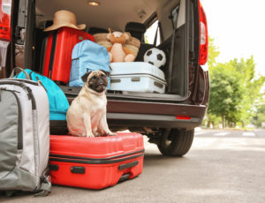 co2-bilanz-urlaub-mit-auto