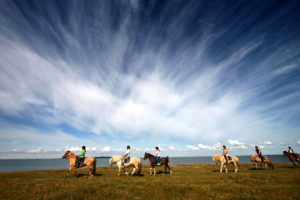 reiten-in-daenemark