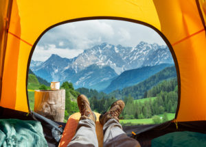 wildcampen