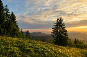 schwarzwald-feldberg