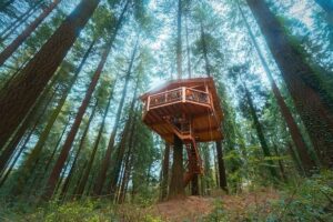 urlaub-im-Baumhaus