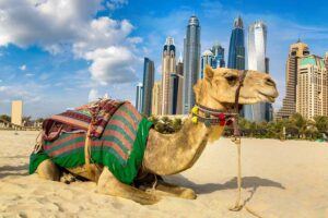 wuestensafari-dubai