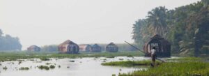 Backwaters Kerala