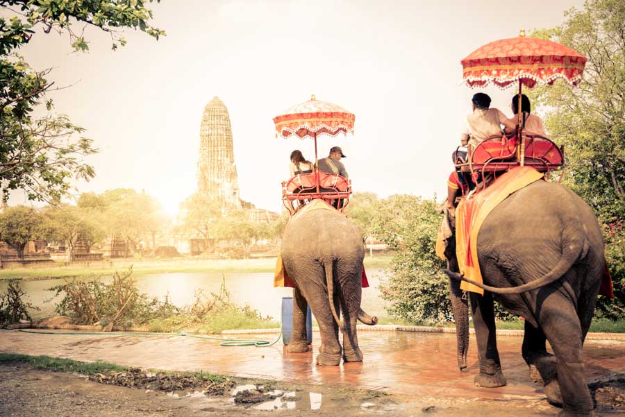 Elefanten in Ayutthaya