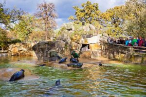 berliner-zoo